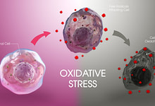 Photo of استرس اکسیداتیو چیست و چه تاثیری بر روی سلول خواهد گذاشت