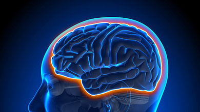 Photo of تشخیص Dyslexia و مناطق مغزی مؤثر بر آن با پردازش سیگنال‌های مغزی